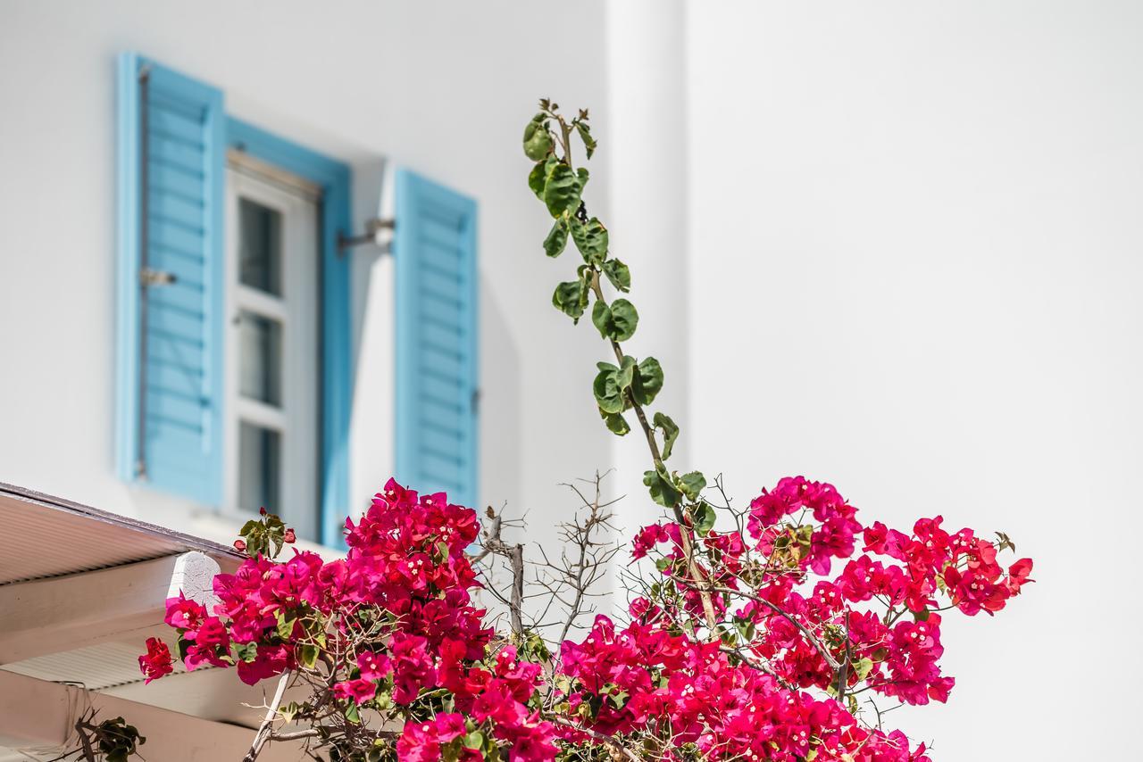 Capo Di Mykonos Resort Agios Ioannis Diakoftis Екстериор снимка