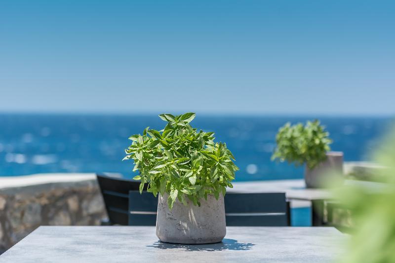 Capo Di Mykonos Resort Agios Ioannis Diakoftis Екстериор снимка